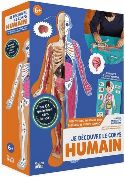 İnsan Vücudunu Keşfediyorum Poster -Model Ve Kitap resmi